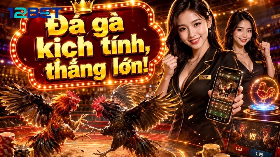 Vệt sáng đếm ngược trên màn hình đá gà trực tuyến 12BET