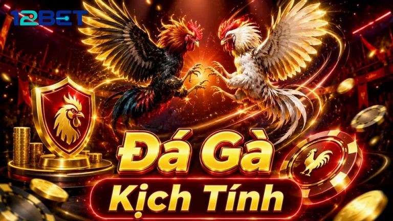 Xem luồng phát hay đọc bảng thống kê: Hai lối hiểu đá gà 12BET
